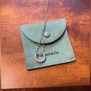 Diamond Tiffany Horseshoe Necklace